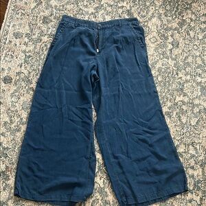 American Eagle Outfitters Blue Wide Leg Jeans